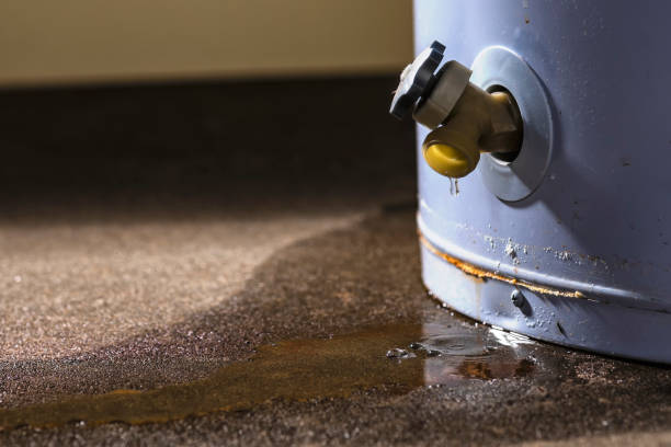 Best Water damage repair service  in Williamsville, NY