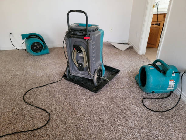 Best Emergency water damage restoration  in Williamsville, NY