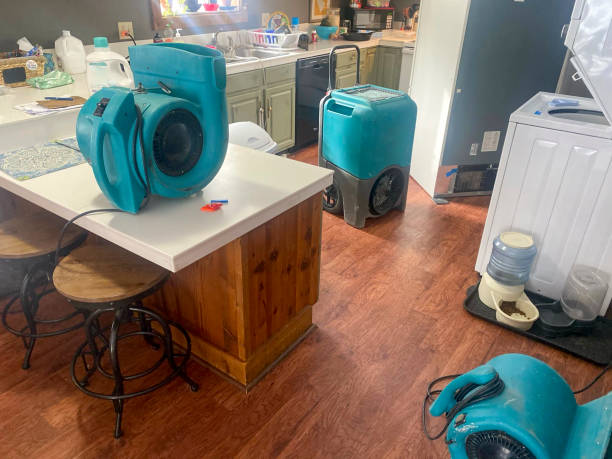 Best Flooded house restoration  in Williamsville, NY
