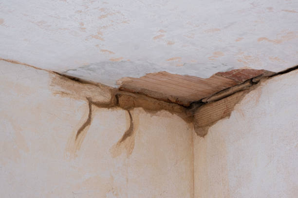 Water damage restoration experts in Williamsville, NY