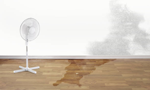 Best Fire Damage Restoration  in Williamsville, NY